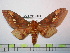  ( - BC-FMP-0996)  @13 [ ] Copyright (2010) Unspecified Research Collection of Frank Meister