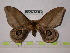  ( - BC-FMP-0473)  @11 [ ] Copyright (2010) Unspecified Research Collection of Frank Meister