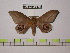  ( - BC-FMP-0475)  @11 [ ] Copyright (2010) Unspecified Research Collection of Frank Meister
