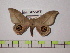  ( - BC-FMP-0482)  @13 [ ] Copyright (2010) Unspecified Research Collection of Frank Meister