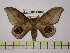  ( - BC-FMP-0483)  @13 [ ] Copyright (2010) Unspecified Research Collection of Frank Meister