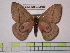  ( - BC-FMP-0490)  @14 [ ] Copyright (2010) Unspecified Research Collection of Frank Meister