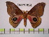  ( - BC-FMP-0493)  @11 [ ] Copyright (2010) Unspecified Research Collection of Frank Meister