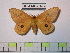  ( - BC-FMP-0497)  @14 [ ] Copyright (2010) Unspecified Research Collection of Frank Meister