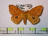  ( - BC-FMP-0498)  @14 [ ] Copyright (2010) Unspecified Research Collection of Frank Meister