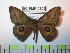  ( - BC-FMP-0502)  @14 [ ] Copyright (2010) Unspecified Research Collection of Frank Meister