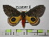  ( - BC-FMP-0518)  @14 [ ] Copyright (2010) Unspecified Research Collection of Frank Meister