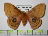  ( - BC-FMP-0544)  @13 [ ] Copyright (2010) Unspecified Research Collection of Frank Meister