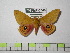  ( - BC-FMP-0546)  @11 [ ] Copyright (2010) Unspecified Research Collection of Frank Meister