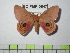 ( - BC-FMP-0547)  @13 [ ] Copyright (2010) Unspecified Research Collection of Frank Meister