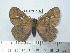  ( - BC-FMP-1960)  @14 [ ] Copyright (2010) Unspecified Research Collection of Frank Meister