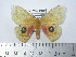  ( - BC-FMP-1965)  @12 [ ] Copyright (2010) Unspecified Research Collection of Frank Meister