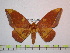  ( - BC-FMP-1035)  @13 [ ] Copyright (2010) Unspecified Research Collection of Frank Meister