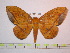  ( - BC-FMP-1039)  @14 [ ] Copyright (2010) Unspecified Research Collection of Frank Meister