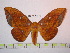  ( - BC-FMP-1040)  @14 [ ] Copyright (2010) Unspecified Research Collection of Frank Meister