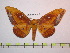  ( - BC-FMP-1042)  @13 [ ] Copyright (2010) Unspecified Research Collection of Frank Meister