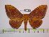  ( - BC-FMP-1048)  @14 [ ] Copyright (2010) Unspecified Research Collection of Frank Meister