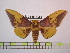  ( - BC-FMP-1059)  @14 [ ] Copyright (2010) Unspecified Research Collection of Frank Meister