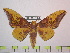  ( - BC-FMP-1060)  @14 [ ] Copyright (2010) Unspecified Research Collection of Frank Meister