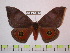  ( - BC-FMP-1079)  @14 [ ] Copyright (2010) Unspecified Research Collection of Frank Meister