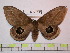  ( - BC-FMP-1090)  @14 [ ] Copyright (2010) Unspecified Research Collection of Frank Meister