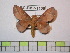  ( - BC-FMP-1106)  @13 [ ] Copyright (2010) Unspecified Research Collection of Frank Meister