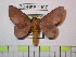  ( - BC-FMP-1107)  @13 [ ] Copyright (2010) Unspecified Research Collection of Frank Meister