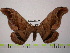  ( - BC-FMP-1193)  @11 [ ] Copyright (2010) Unspecified Research Collection of Frank Meister
