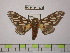  ( - BC-FMP-1236)  @12 [ ] Copyright (2010) Unspecified Research Collection of Frank Meister