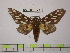  ( - BC-FMP-1237)  @12 [ ] Copyright (2010) Unspecified Research Collection of Frank Meister