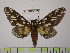  ( - BC-FMP-1238)  @13 [ ] Copyright (2010) Unspecified Research Collection of Frank Meister