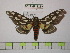  ( - BC-FMP-1239)  @12 [ ] Copyright (2010) Unspecified Research Collection of Frank Meister