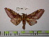  ( - BC-FMP-1241)  @13 [ ] Copyright (2010) Unspecified Research Collection of Frank Meister