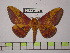  ( - BC-FMP-1248)  @13 [ ] Copyright (2010) Unspecified Research Collection of Frank Meister