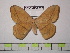  ( - BC-FMP-1255)  @13 [ ] Copyright (2010) Unspecified Research Collection of Frank Meister