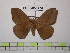 ( - BC-FMP-1256)  @11 [ ] Copyright (2010) Unspecified Research Collection of Frank Meister