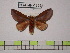  ( - BC-FMP-1266)  @11 [ ] Copyright (2010) Unspecified Research Collection of Frank Meister