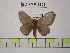  ( - BC-FMP-1303)  @12 [ ] Copyright (2010) Unspecified Research Collection of Frank Meister