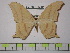  ( - BC-FMP-1389)  @13 [ ] Copyright (2010) Unspecified Research Collection of Frank Meister