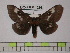  ( - BC-FMP-1396)  @13 [ ] Copyright (2010) Unspecified Research Collection of Frank Meister