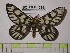  ( - BC-FMP-1399)  @11 [ ] Copyright (2010) Unspecified Research Collection of Frank Meister