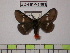  ( - BC-FMP-1401)  @11 [ ] Copyright (2010) Unspecified Research Collection of Frank Meister