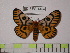 ( - BC-FMP-1405)  @13 [ ] Copyright (2010) Unspecified Research Collection of Frank Meister