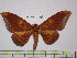  ( - BC-FMP-1435)  @14 [ ] Copyright (2010) Unspecified Research Collection of Frank Meister