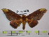  ( - BC-FMP-1451)  @13 [ ] Copyright (2010) Unspecified Research Collection of Frank Meister