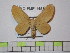  ( - BC-FMP-1458)  @14 [ ] Copyright (2010) Unspecified Research Collection of Frank Meister