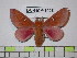  ( - BC-FMP-1468)  @13 [ ] Copyright (2010) Unspecified Research Collection of Frank Meister