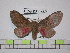  ( - BC-FMP-1469)  @13 [ ] Copyright (2010) Unspecified Research Collection of Frank Meister
