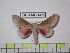  ( - BC-FMP-1470)  @13 [ ] Copyright (2010) Unspecified Research Collection of Frank Meister