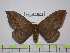  ( - BC-FMP-1543)  @11 [ ] Copyright (2010) Unspecified Research Collection of Frank Meister